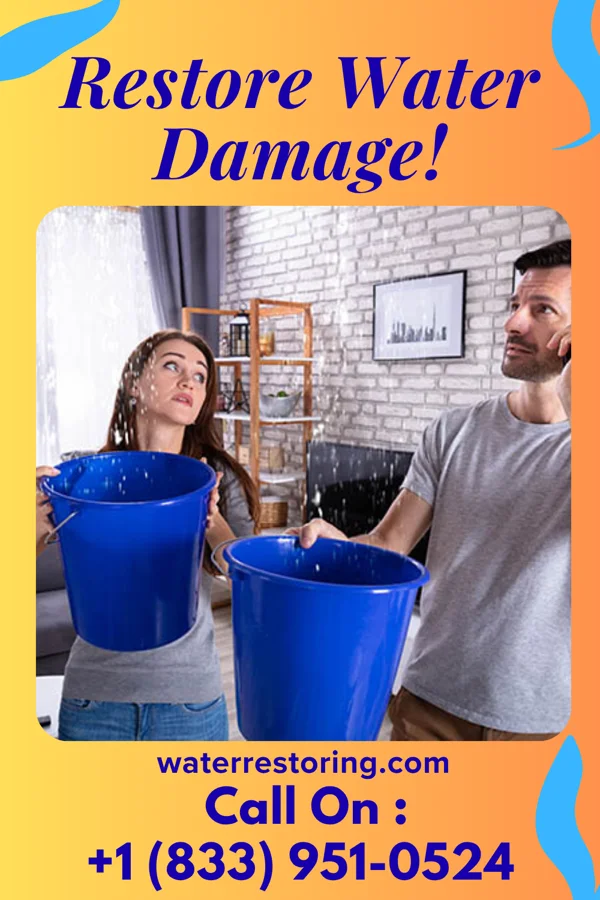 water restoration Southern Disaster Cleanup Company Eatonville